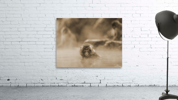 the monkey bath Wall Preview