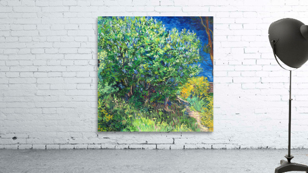 Vincent van Gogh Wall Preview