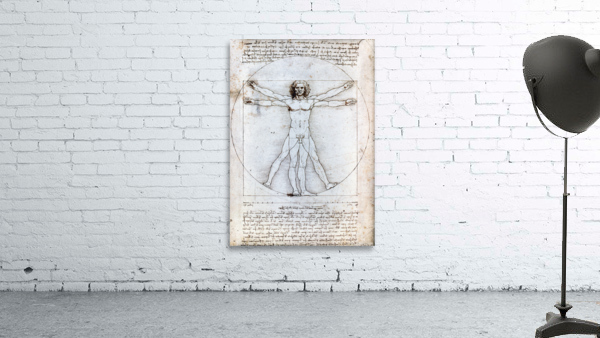 leonardo da vinci Wall Preview