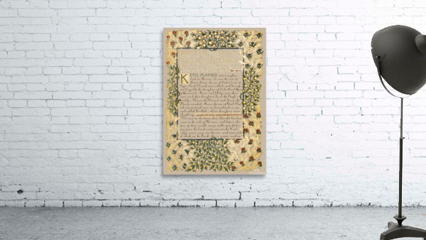 2507 william morris Wall Preview