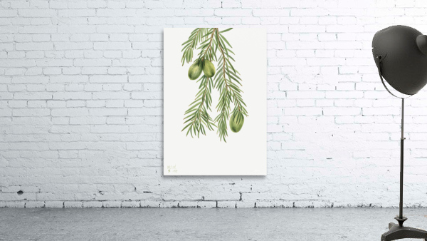 2529 william morris Wall Preview