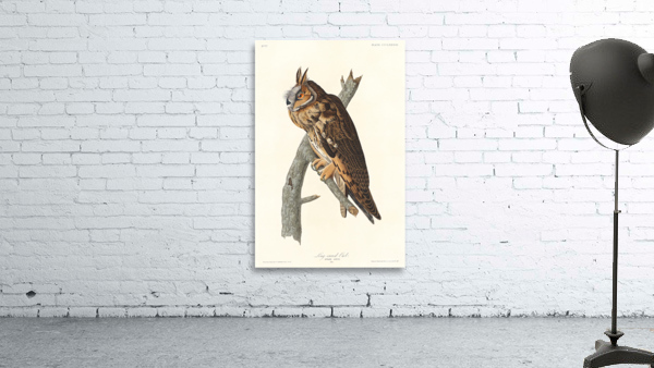 5955 John James Audubon  48 Wall Preview