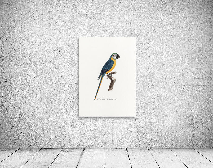 6330 Parrot 7 Wall Preview