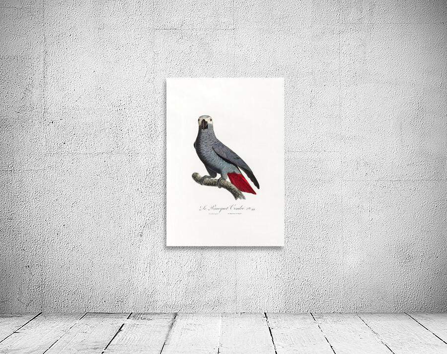 6371 Parrot Wall Preview