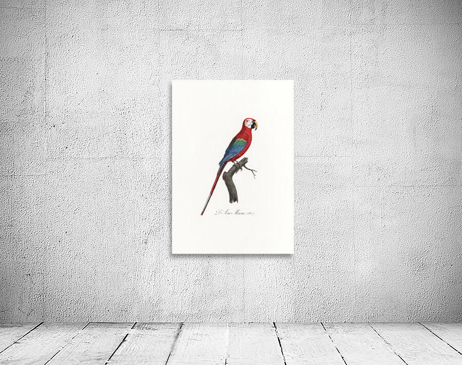 6370 Parrot Wall Preview