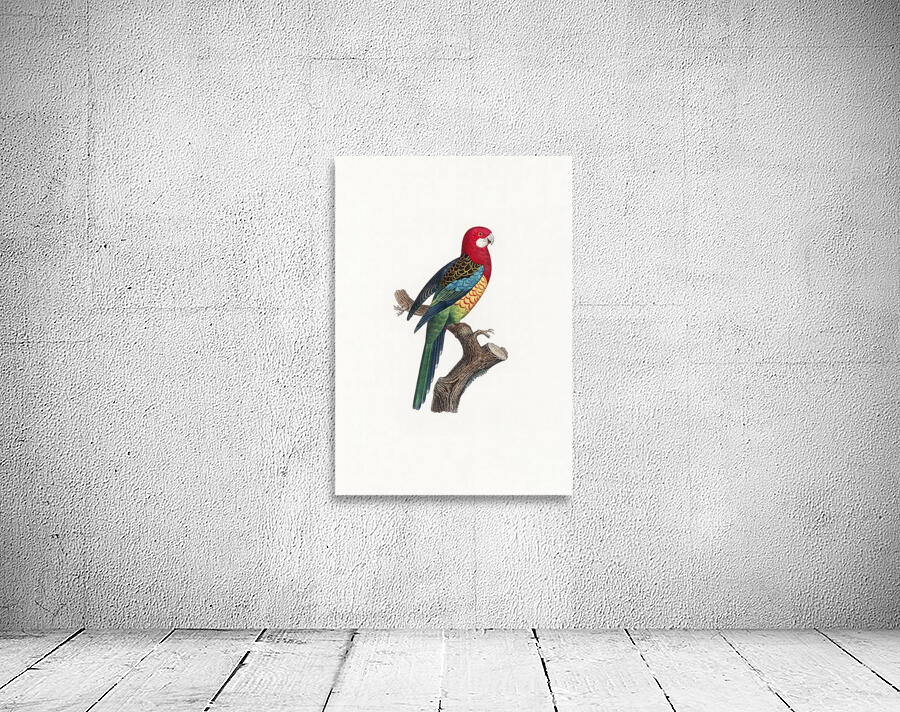 6367 Parrot Wall Preview