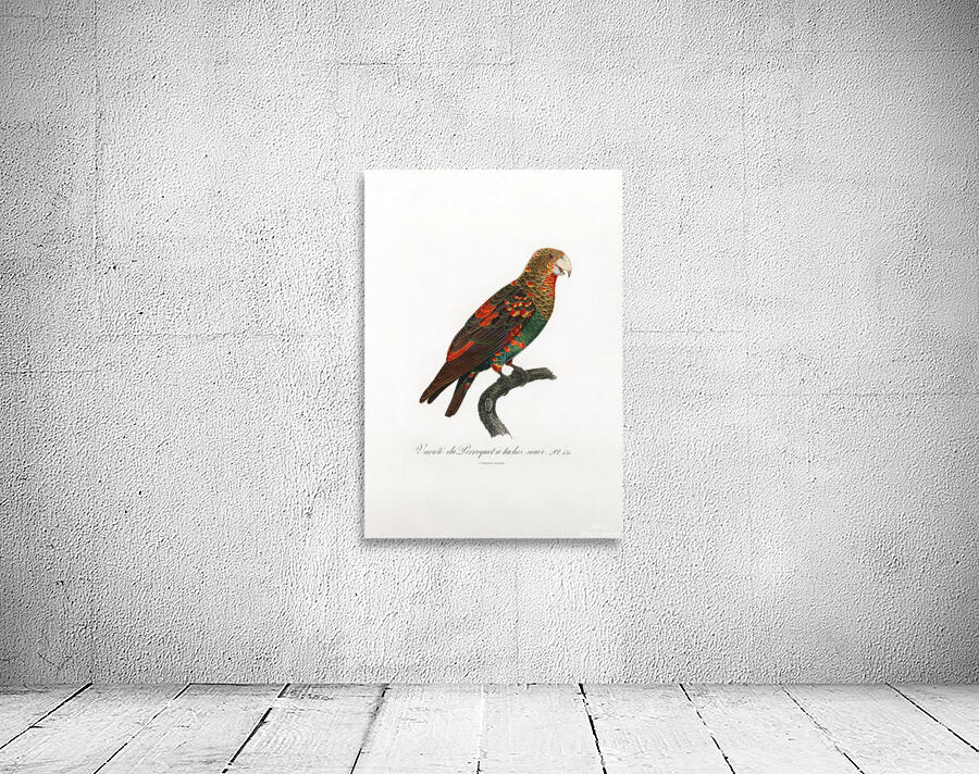 6480 Parrot Wall Preview