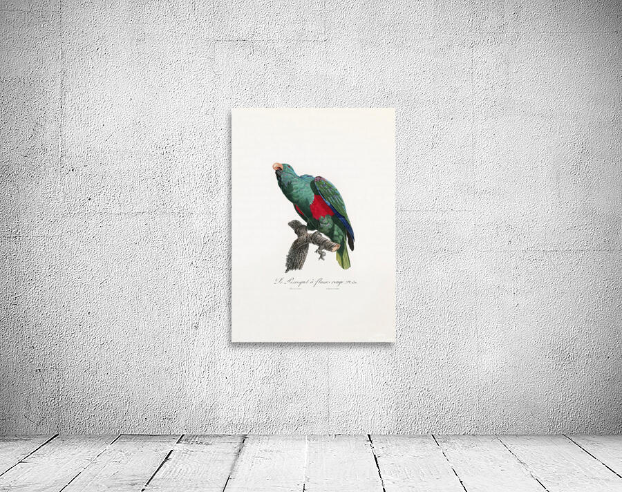 6482 Parrot Wall Preview