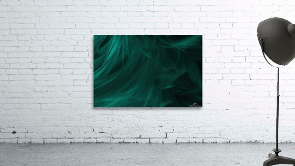 7779 peacock feathers Wall Preview