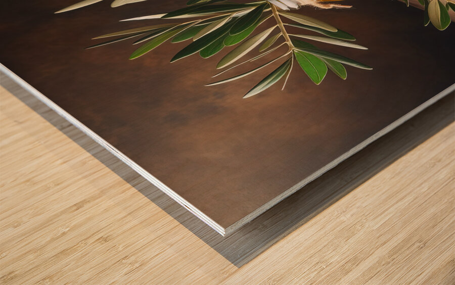 olive oil olives still life 10 Wood print