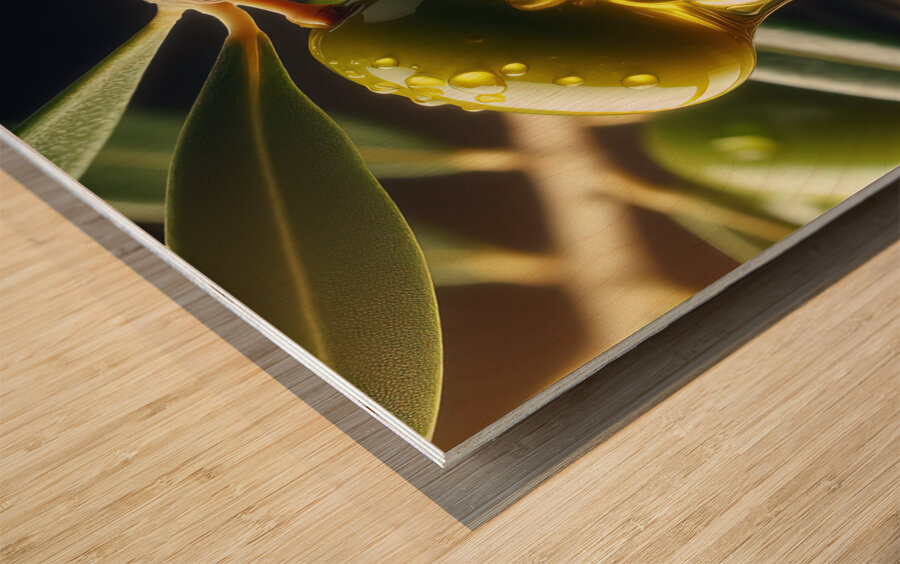 Olive oil on branch food 3 Wood print