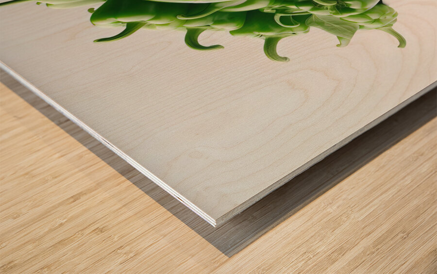 Red green yellow peppers food 14 Wood print