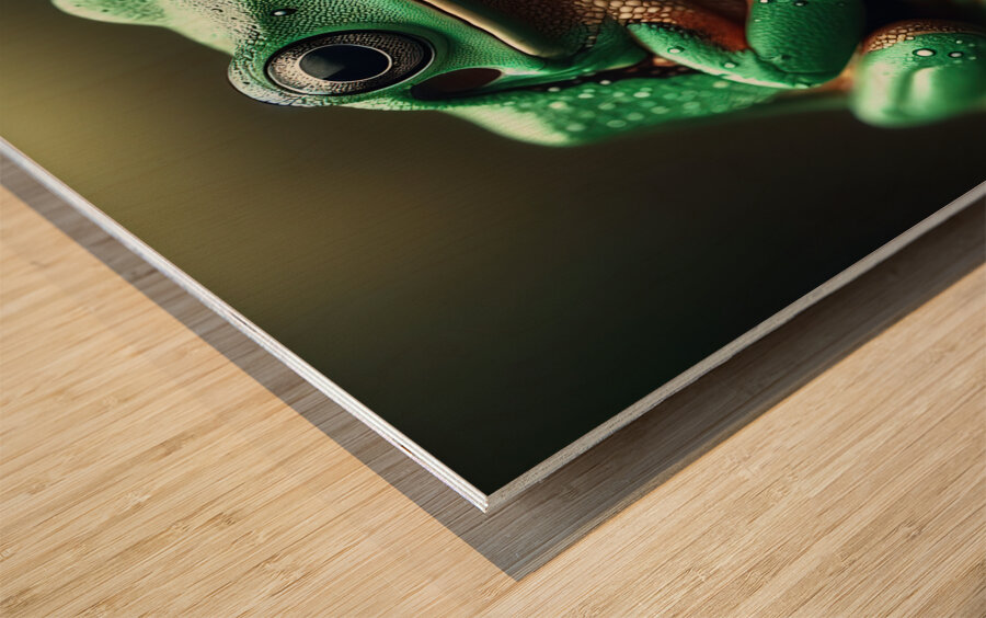 122 Green frog photography Wood print
