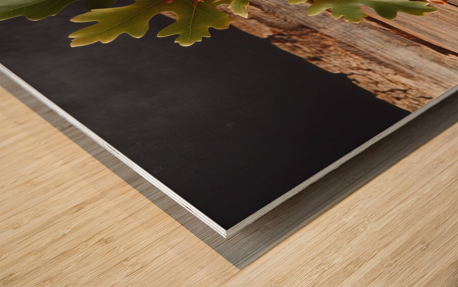 301 acorns and leaves on wooden table with copy s Wood print