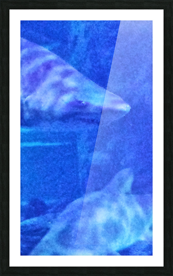 20130614 170856 Picture Frame print