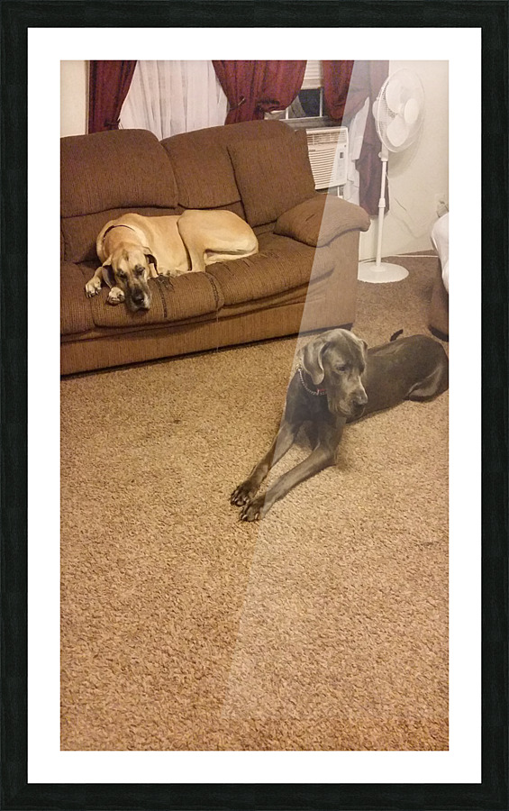 20150812 210629 Picture Frame print