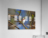 Chestnut Sided Warbler Highlighted In Morning Light Acrylic Print