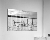 Wood Fence Posts In Winter Black And White Acrylic Print