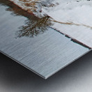 Rural Winter Creek Metal print