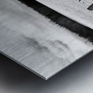 Wood Fence Posts In Winter Black And White Metal print