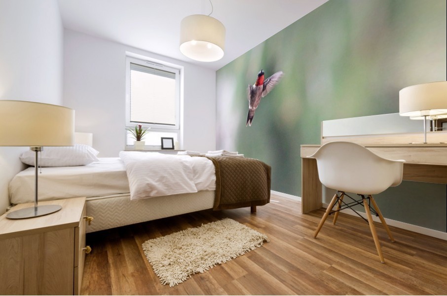 Ruby Throat Mural print