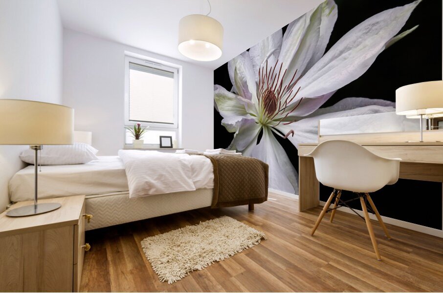 Hints Of Purple Clematis Mural print