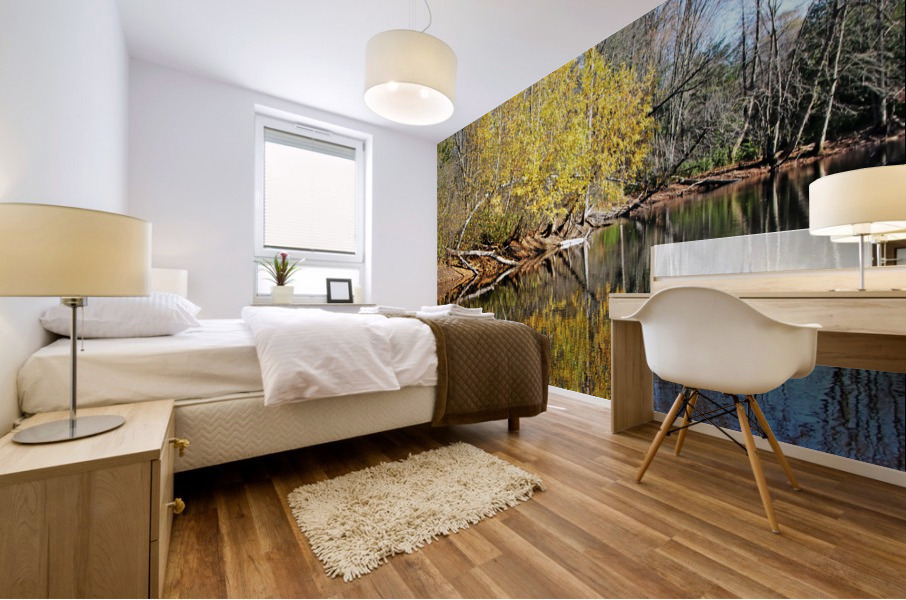 Golden Autumn Mural print