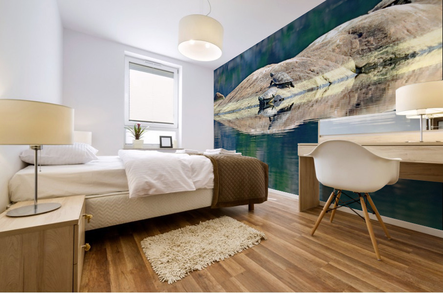 Maps On Rock Mural print