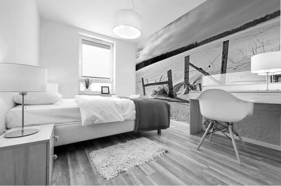 Wood Fence Posts In Winter Black And White Mural print