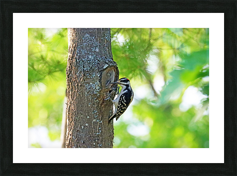 Knock Knock Picture Frame print