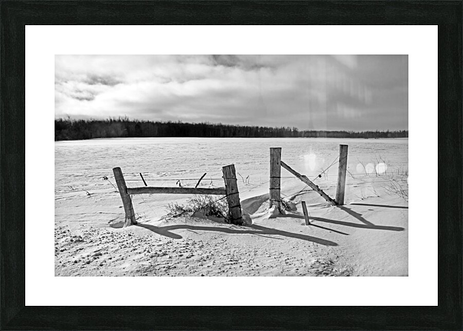 Wood Fence Posts In Winter Black And White Picture Frame print