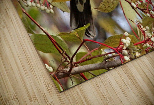 Fall Robin Deb Oppermann puzzle