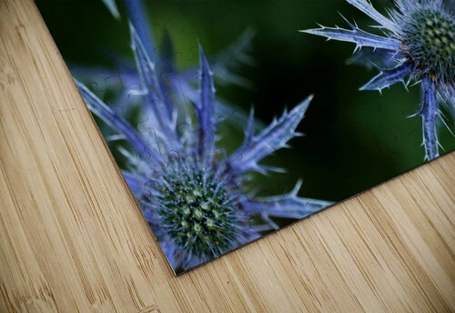 Prickly Blue Stars Deb Oppermann puzzle