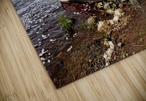 Fishing And Exploring Deb Oppermann puzzle