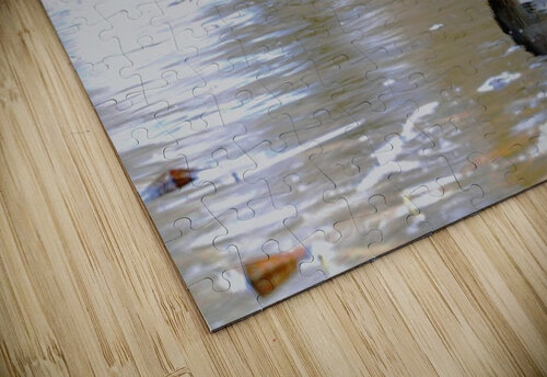 Part Bird Part Submarine Deb Oppermann puzzle