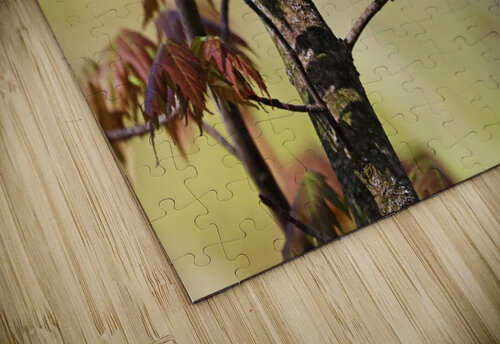Blackburnian Warbler In Maple Tree Deb Oppermann puzzle