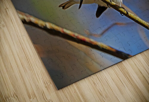 Chestnut Sided Warbler Highlighted In Morning Light Deb Oppermann puzzle