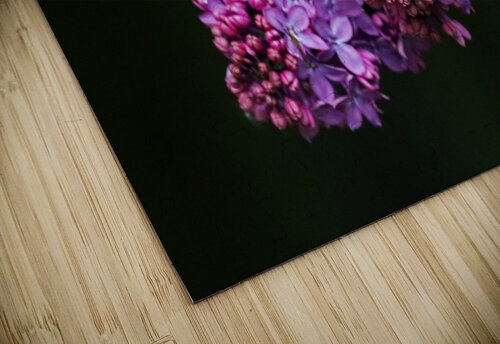Focus On Lilac Flower Buds Deb Oppermann puzzle