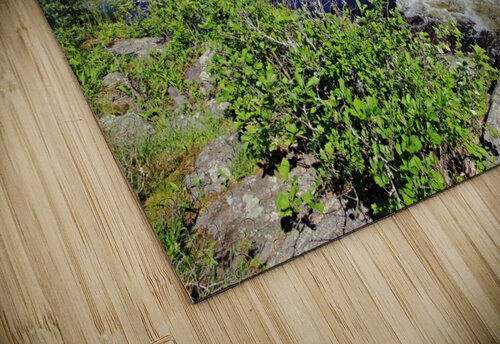 Whitewater Dalles Rapids I Deb Oppermann puzzle