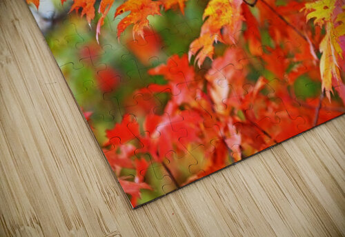 Autumn Oak Leaves Deb Oppermann puzzle