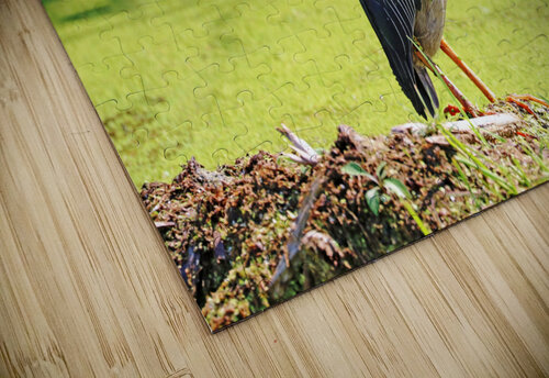Still As A Statue Deb Oppermann puzzle