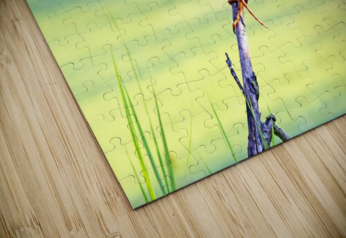 Anticipation Deb Oppermann puzzle