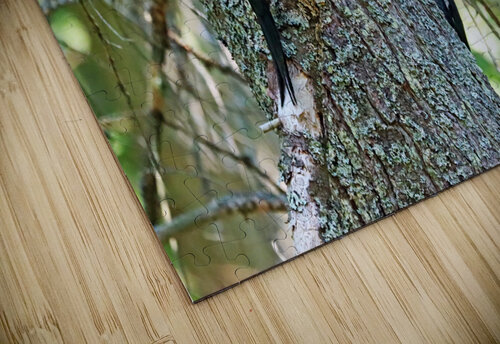 Knock On Wood Deb Oppermann puzzle