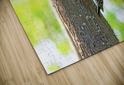 Knock Knock Deb Oppermann puzzle
