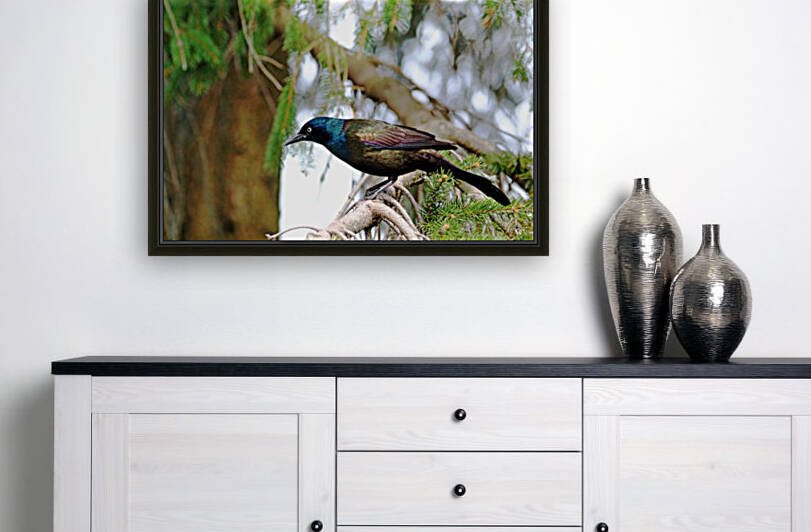 Iridescent Plumage by Deb Oppermann