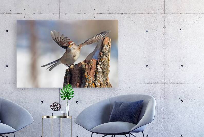 American Tree Sparrow Ready For Take Off by Deb Oppermann