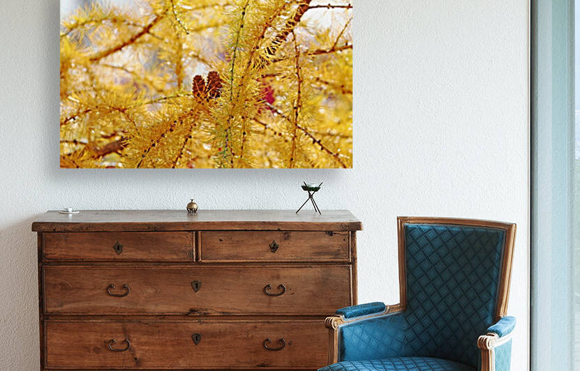 Tamarack Gold by Deb Oppermann