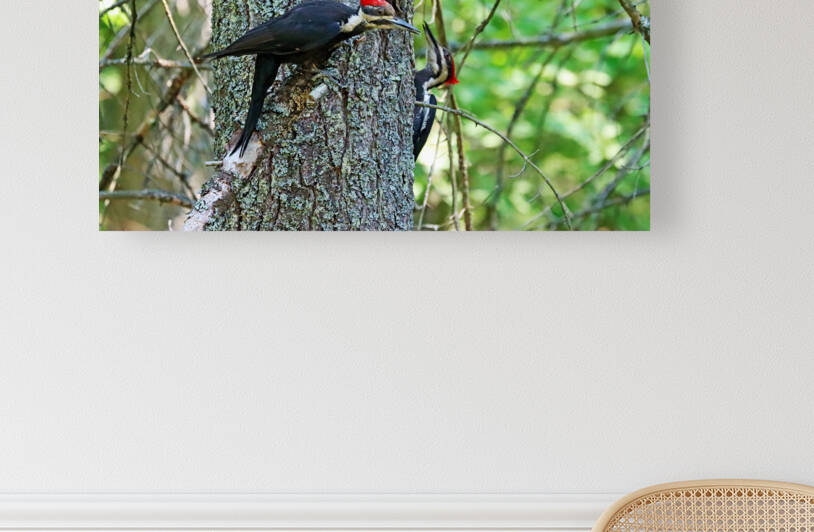 Knock On Wood by Deb Oppermann