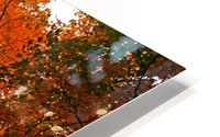 Autumn Party HD Metal print