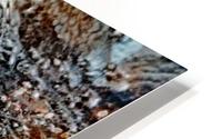 Frozen HD Metal print